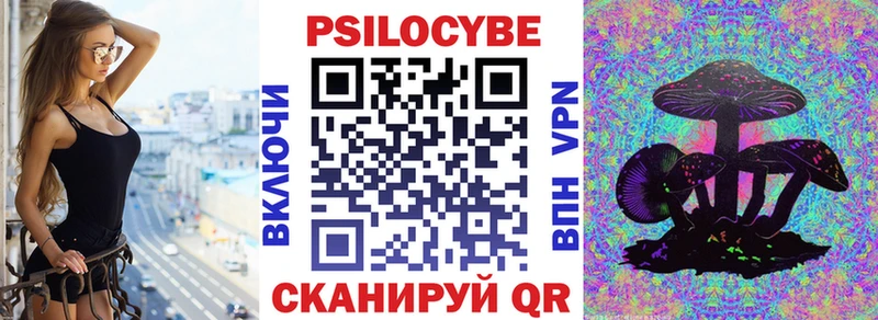 Псилоцибиновые грибы GOLDEN TEACHER Сосновый Бор